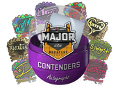 Капсула с автографами кандидатов StarLadder Budapest Major 2025