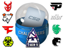 Austin 2025 Challengers Sticker Capsule
