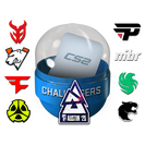 Austin 2025 Challengers Sticker Capsule