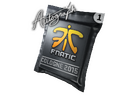 Autograph Capsule | Fnatic | Cologne 2015