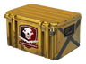Falchion Case