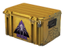Shattered Web Case