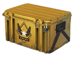 Winter Offensive Weapon Case