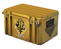 Spectrum Case