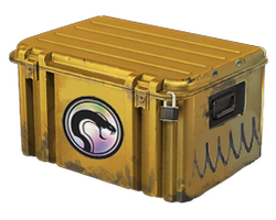 Recoil Case