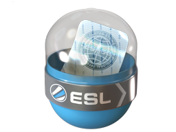 EMS Katowice 2014 Challengers