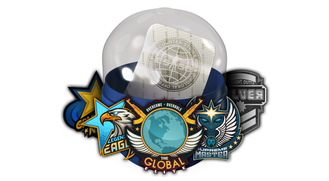 Skill Groups Capsule