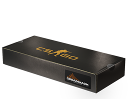 Сувенірний набір «DreamHack 2013»