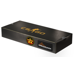 DreamHack 2014 Overpass Package