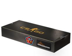 DreamHack 2014 Mirage Souvenir Package