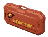 Кейс eSports 2013