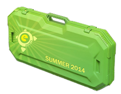 eSports 2014 Summer Case