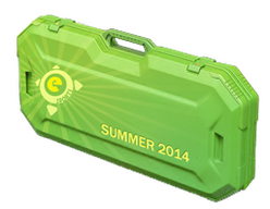 eSports 2014 Summer Case