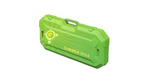 eSports 2014 Summer Case