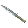 ★ StatTrak™ Bayonet