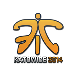 Fnatic | Katowice 2014