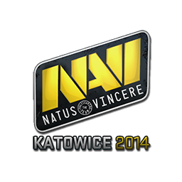 Natus Vincere | Katowice 2014