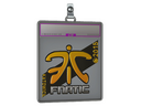 Sticker Slab | Fnatic (Foil) | Katowice 2015
