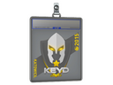 Sticker Slab | Keyd Stars | Katowice 2015