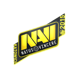 Natus Vincere | Катовице-2015