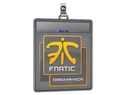 Sticker Slab | Fnatic | DreamHack 2014
