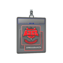 Sticker Slab | HellRaisers | DreamHack 2014