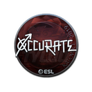 Sticker | xccurate (Foil) | Katowice 2019
