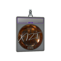 Sticker Slab | Xizt (Foil) | Katowice 2019