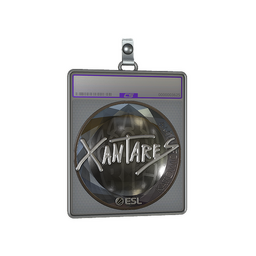 Sticker Slab | XANTARES (Foil) | Katowice 2019