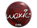 Sticker | woxic | Katowice 2019