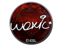 Sticker | woxic (Foil) | Katowice 2019