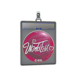 Sticker Slab | WorldEdit | Katowice 2019