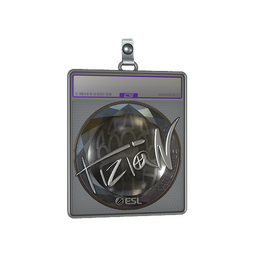 Sticker Slab | tiziaN (Foil) | Katowice 2019
