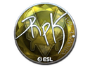 Sticker | RpK (Foil) | Katowice 2019