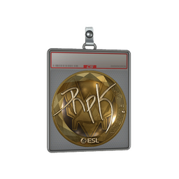 Sticker Slab | RpK (Gold) | Katowice 2019