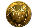 Sticker | RpK (Gold) | Katowice 2019