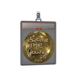 Sticker Slab | sdy (Gold) | Katowice 2019