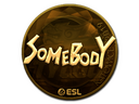 Sticker | somebody (Gold) | Katowice 2019