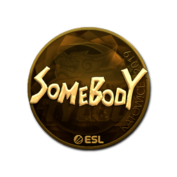 somebody (Gold) | Katowice 2019