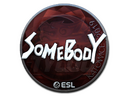 Sticker | somebody (Foil) | Katowice 2019