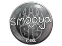 Sticker | smooya | Katowice 2019