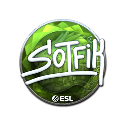 S0tF1k (металлическая) | Катовице-2019