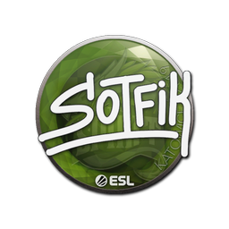 S0tF1k | Катовице-2019