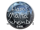 Sticker | malta (Foil) | Katowice 2019