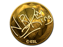 Sticker | NBK- (Gold) | Katowice 2019