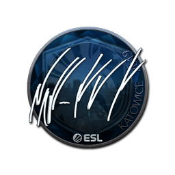 NAF (металлическая) | Катовице-2019