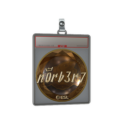 Sticker Slab | n0rb3r7 (Gold) | Katowice 2019