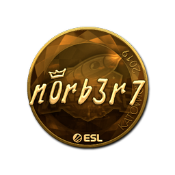 n0rb3r7 (золотая) | Катовице-2019