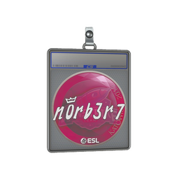 Sticker Slab | n0rb3r7 | Katowice 2019