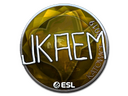 Sticker | jkaem (Foil) | Katowice 2019